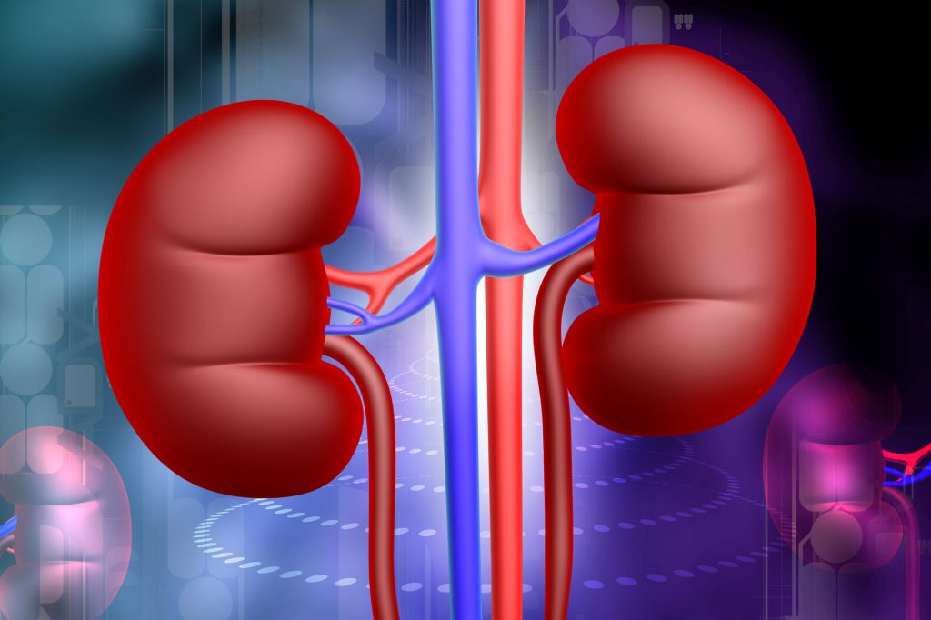 What are Nephrology Physicians?