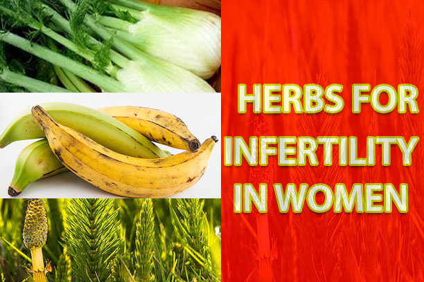HERBS FOR INFERTILITY