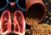 Tips To Improve Lung Health With Ayurveda
