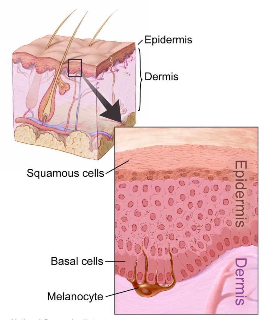 Best Skin Cancer Treatment