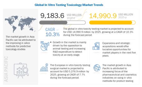 In Vitro Toxicology Testing Market