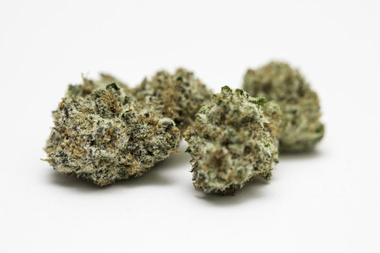 Lemon Kush Strain Review - Marijuana Seeds