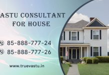 vastu consultant for house