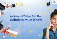 8 Excellent Assignment Writing Tips That Scholars Must Know