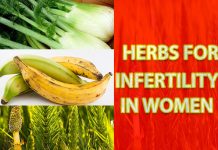 HERBS FOR INFERTILITY