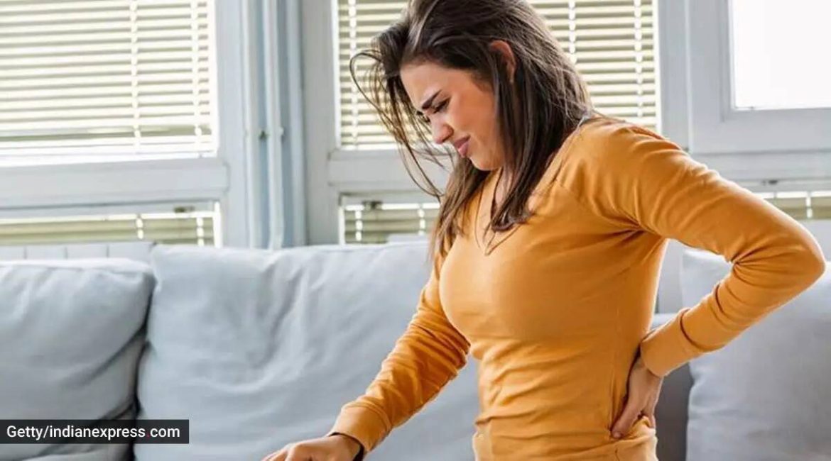 What Are The Easy Physical Therapy for Low Back Pain?